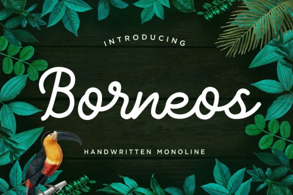 Evaluating Borneos: A Handwritten Font for Designers and Creatives