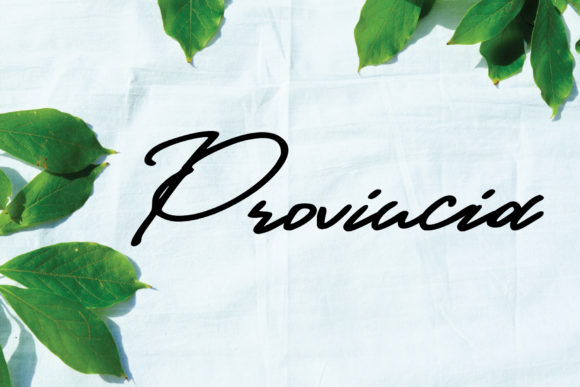 When Your Design Needs a Personal, Flowing Touch: Working with Provincia
